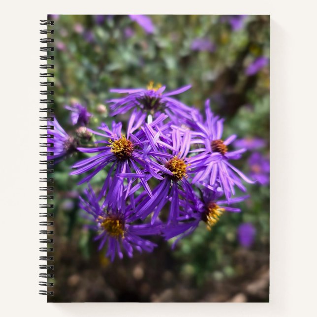 Autumn's Purple Glow Notebook (Front)