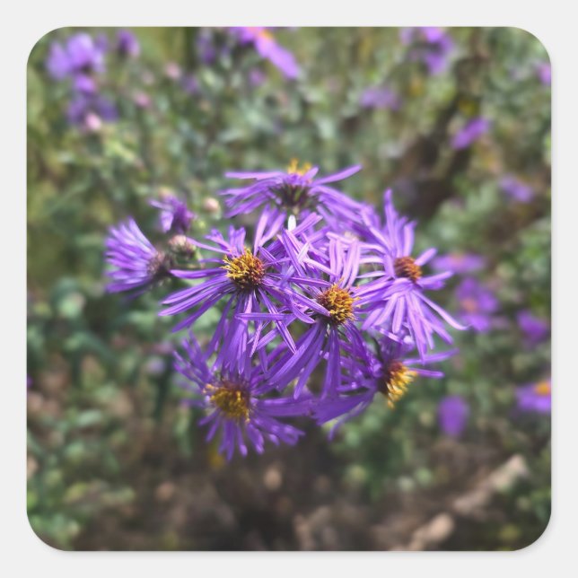 Autumn's Purple Glow Square Sticker (Front)