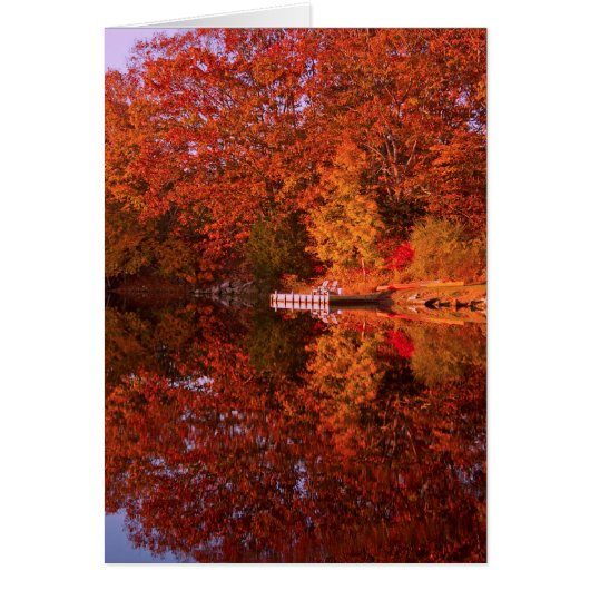 Autumn's Reflection Cards (Front)