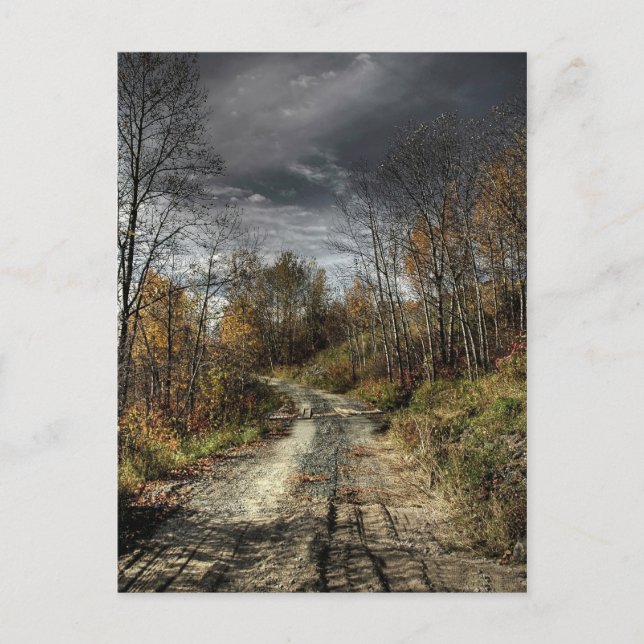 Autumns Road Postcard (Front)