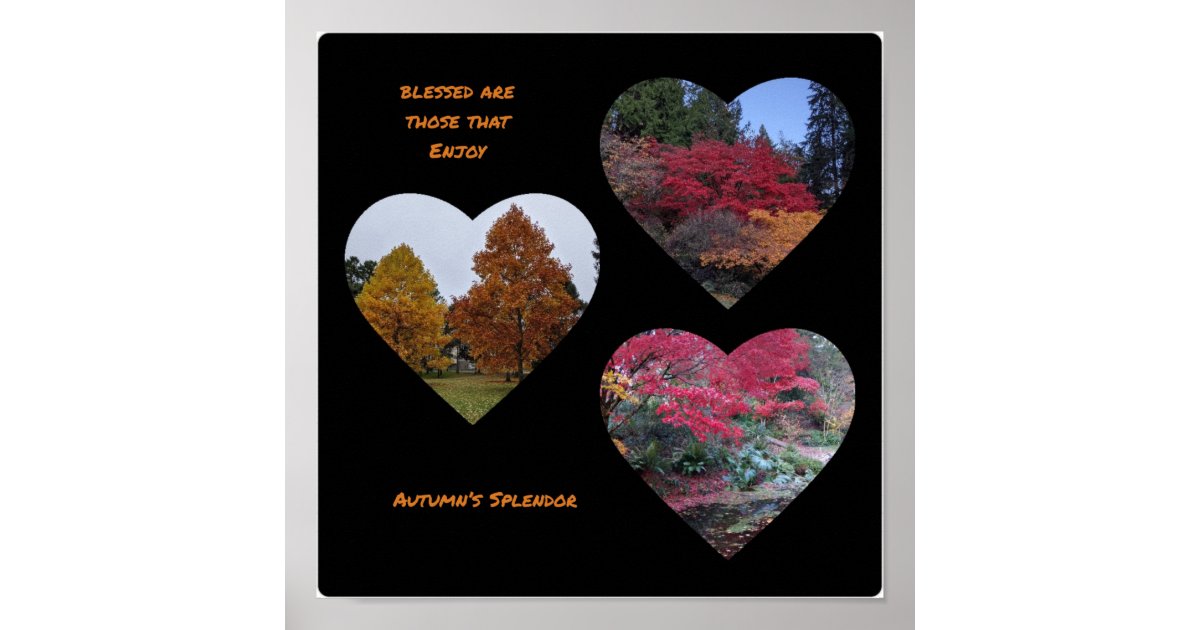 Autumn's Splendor poster | Zazzle