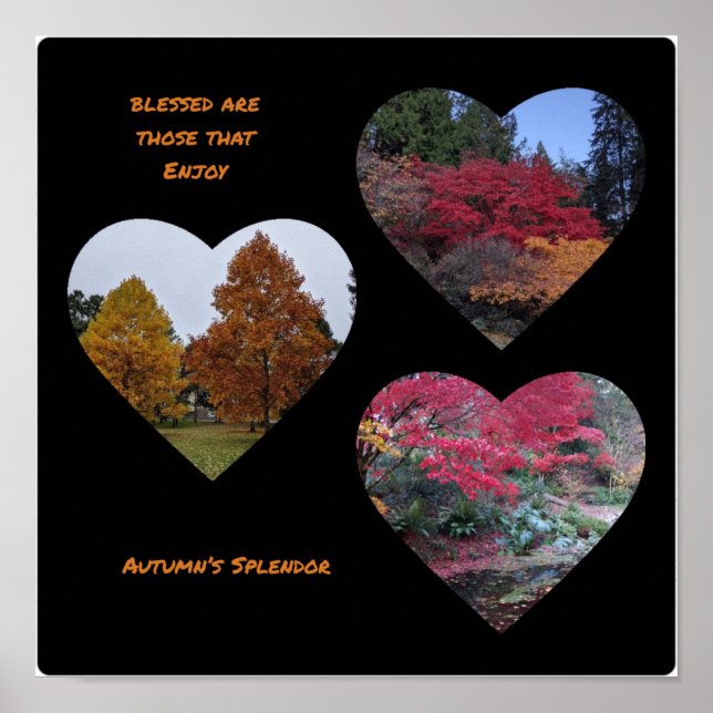 Autumn's Splendor poster (Front)