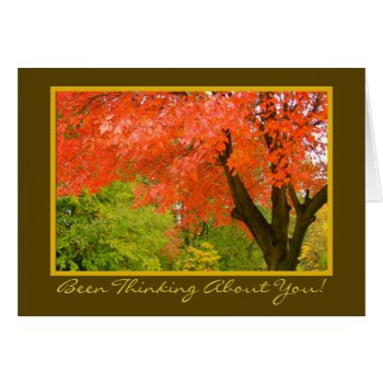 Autumn's Splendor/thinking Of You/greeting Card by whatawonderfulworld at Zazzle