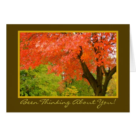 Autumn's Splendor/thinking Of You/greeting Card