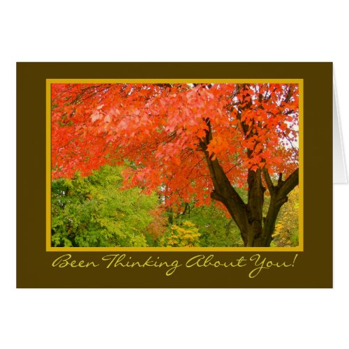 Autumns SplendorThinking Of Yougreeting card