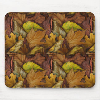 Autumns Treasures Mousepad