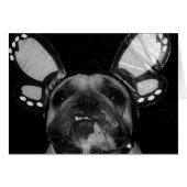 Ava Butterfly Cards (Front Horizontal)