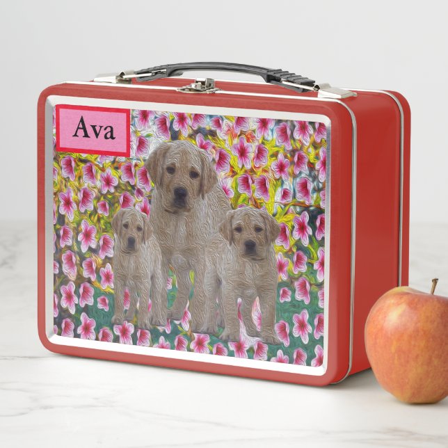 Ava Name With Labrador Puppies, Metal Lunch Box (In Situ)