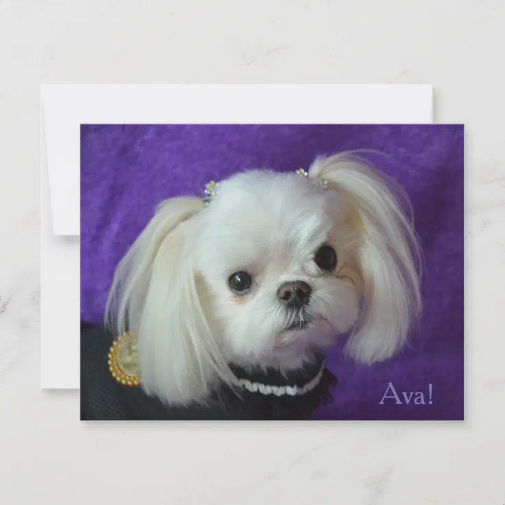 Ava Note cards | Zazzle