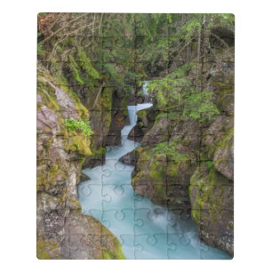 Avalanche Creek, Glacier National Park, Montana Jigsaw Puzzle