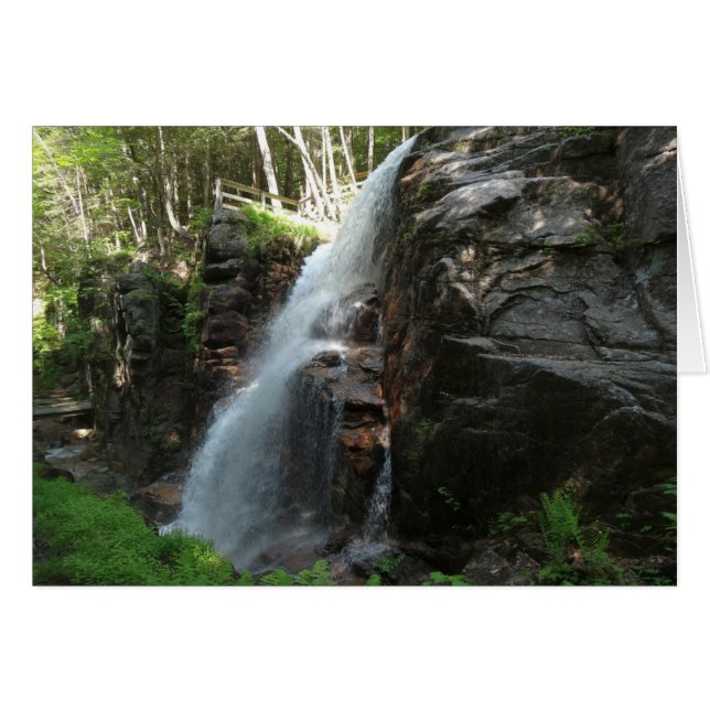 Avalanche Falls Cards (Front Horizontal)