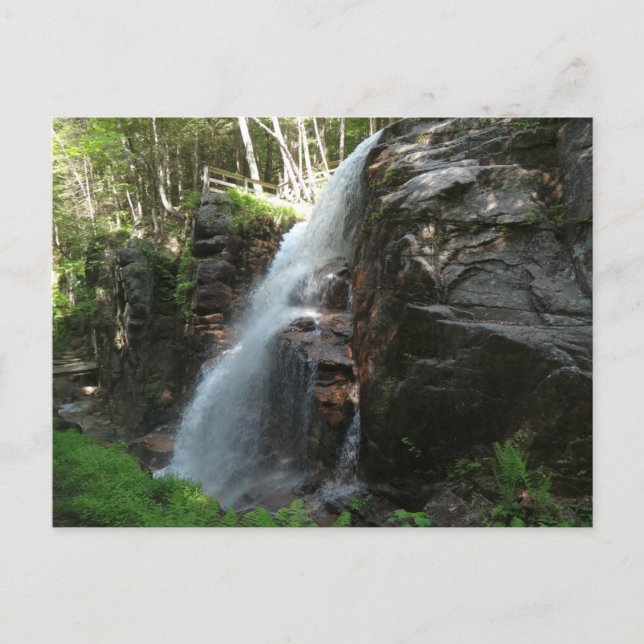 Avalanche Falls Postcard (Front)