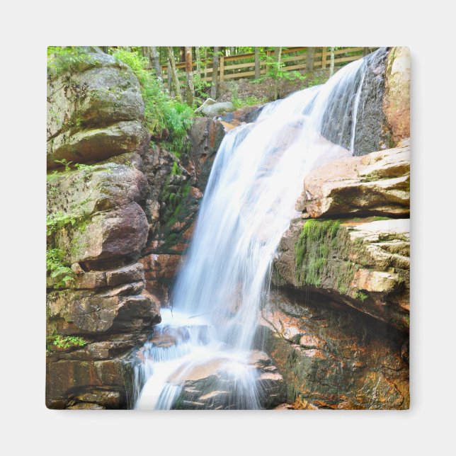 Avalanche Falls Waterfall New Hampshire Magnet (Front)