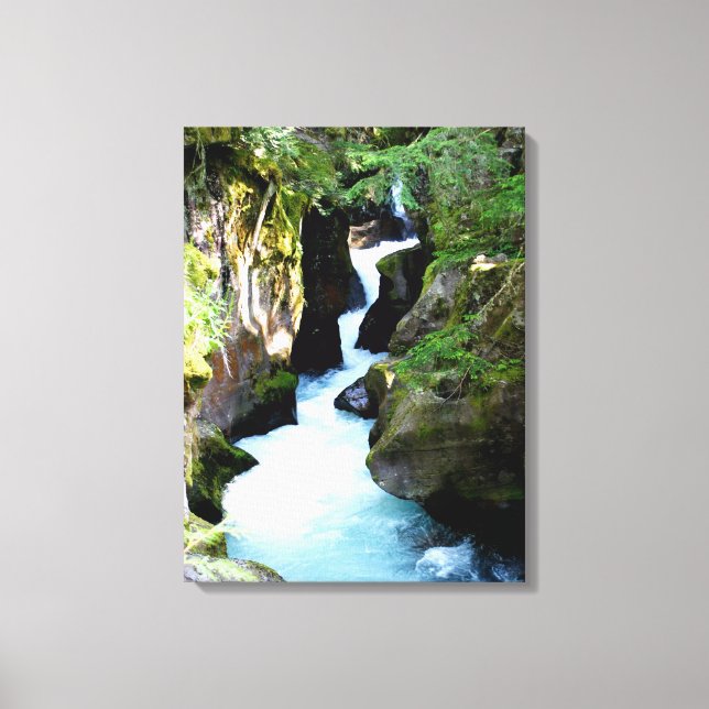 Avalanche Gorge-Glacier National Park Canvas Print (Front)