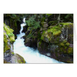 Avalanche Gorge I at Glacier National Park Card
