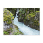 Avalanche Gorge I at Glacier National Park Postcard