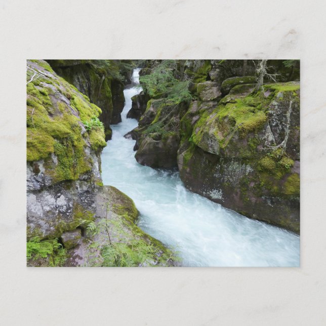 Avalanche Gorge I at Glacier National Park Postcard (Front)