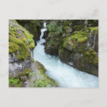 Avalanche Gorge I at Glacier National Park Postcard