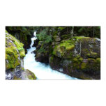 Avalanche Gorge I at Glacier National Park Poster