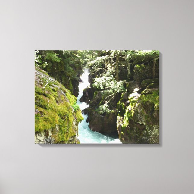 Avalanche Gorge II at Glacier National Park Canvas Print (Front)