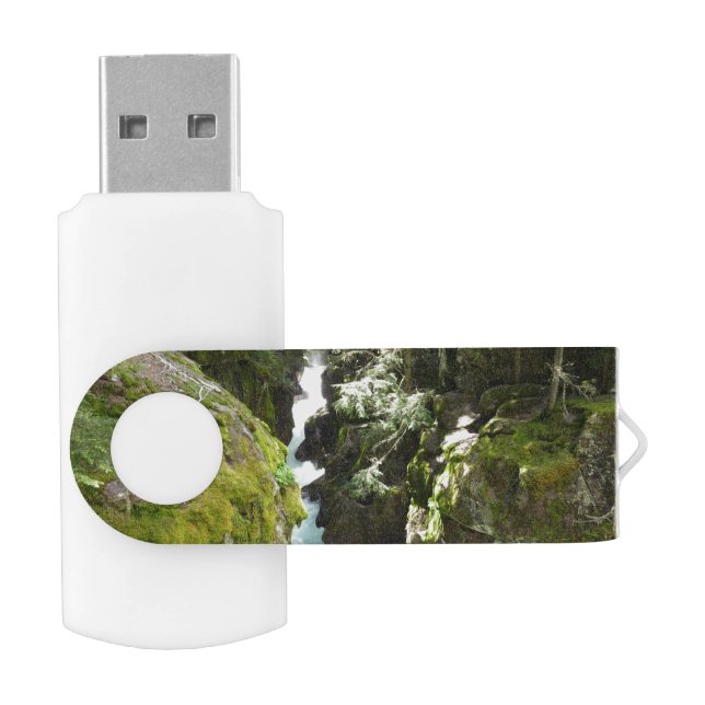 Avalanche Gorge II at Glacier National Park Flash Drive (Opened)