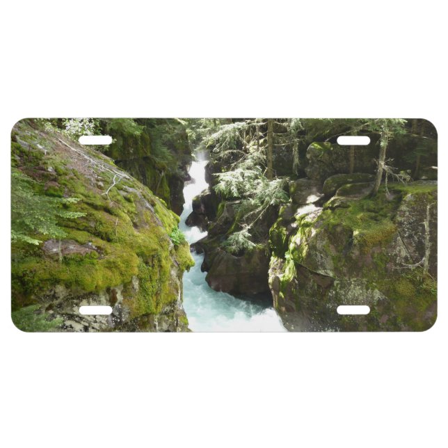 Avalanche Gorge II at Glacier National Park License Plate (Front)