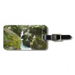 Avalanche Gorge II at Glacier National Park Luggage Tag