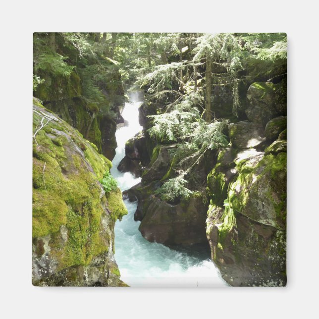 Avalanche Gorge II at Glacier National Park Magnet (Front)