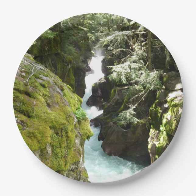 Avalanche Gorge II at Glacier National Park Paper Plates (Front)