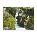 Avalanche Gorge II at Glacier National Park Postcard