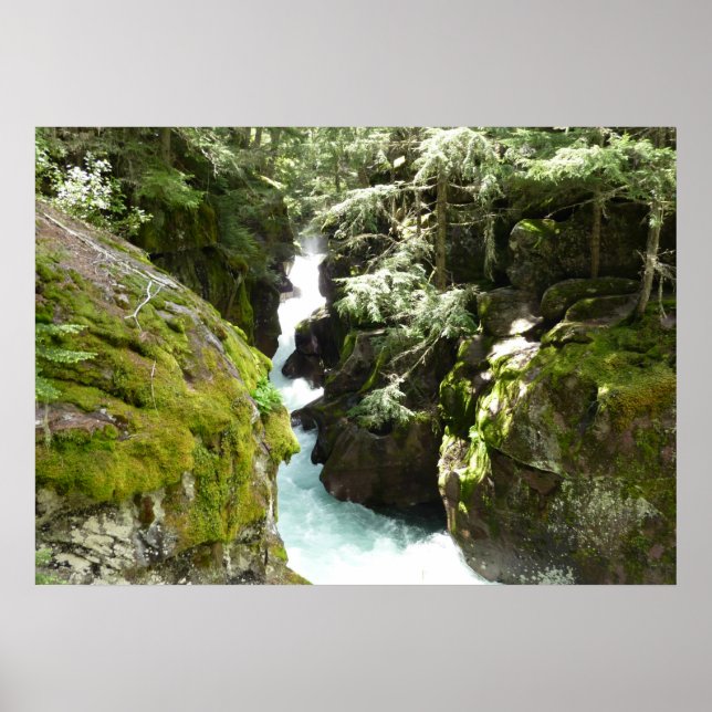 Avalanche Gorge II at Glacier National Park Poster (Front)