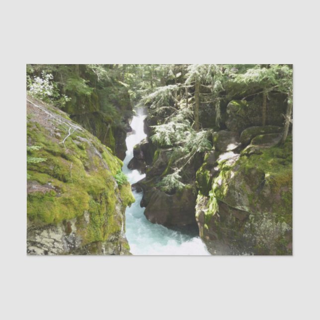 Avalanche Gorge II at Glacier National Park Tissue Paper (Front)