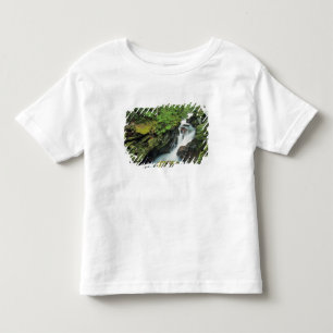 Avalanche Gorge in Glacier National Park in Toddler T-shirt