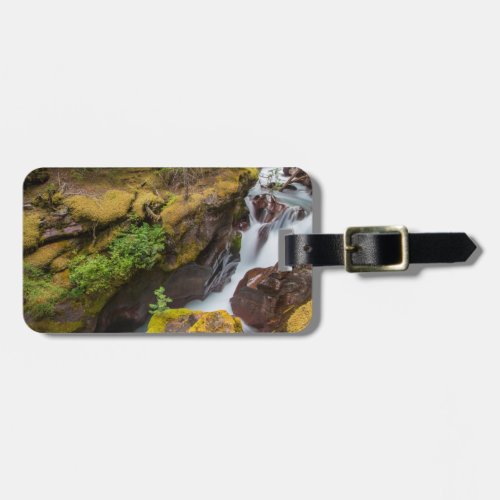 Avalanche Gorge In Glacier National Park Luggage Tag