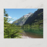 Avalanche Lake II in Glacier National Park Postcard