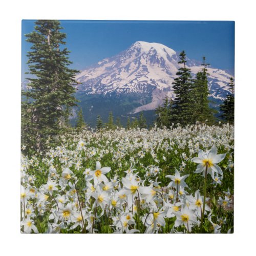 Avalanche lilies and Mount Rainier 2 Ceramic Tile