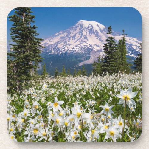 Avalanche lilies and Mount Rainier 2 Coaster