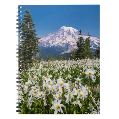 Avalanche lilies and Mount Rainier 2 Notebook