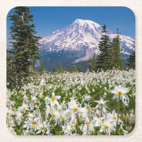 Avalanche lilies and Mount Rainier 2 Square Paper Coaster