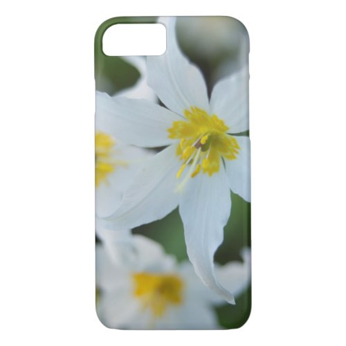 Avalanche Lilies at Paradise Park iPhone 87 Case