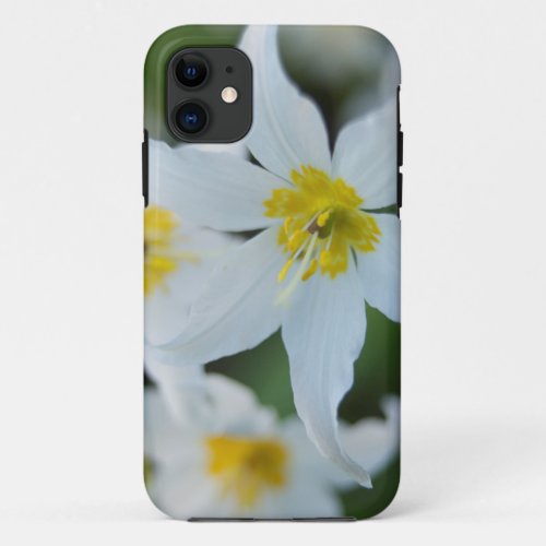 Avalanche Lilies at Paradise Park iPhone 11 Case