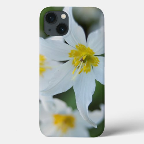 Avalanche Lilies at Paradise Park iPhone 13 Case