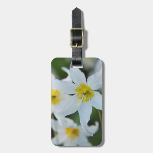 Avalanche Lilies at Paradise Park Luggage Tag