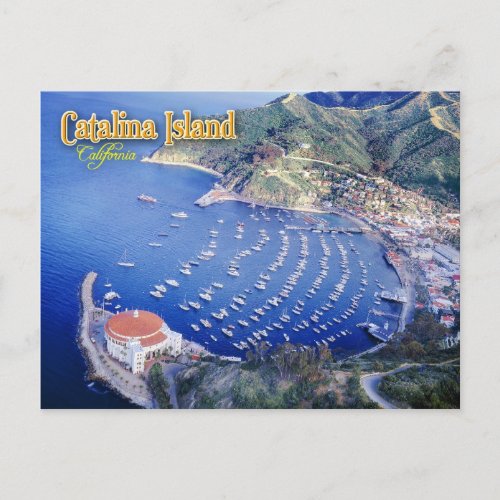 Avalon Bay Catalina Island California Postcard