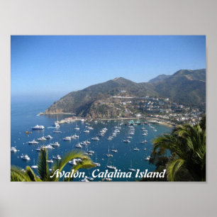 Avalon, Catalina Island Poster