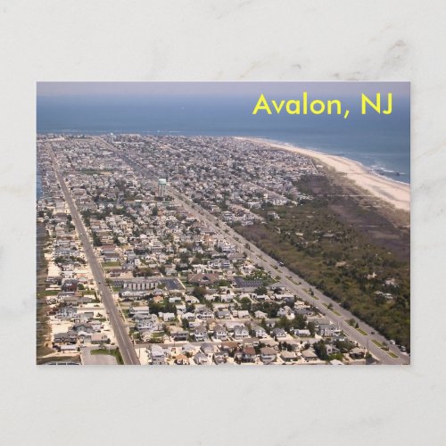 Avalon NJ Postcard