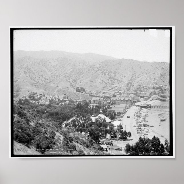 Avalon, Santa Catalina Island c1903 Poster (Front)