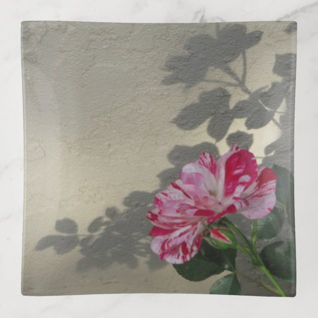 Avant-garde Rose and Shadow Trinket Tray (Front)