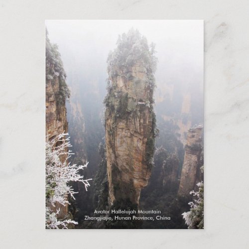 Avatar Hallelujah Mountain Zhangjiajie China Postcard