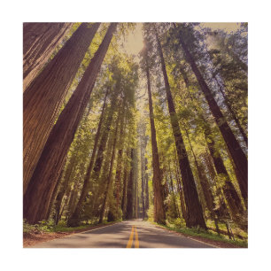 Ave of the Giants Wood Wall Art